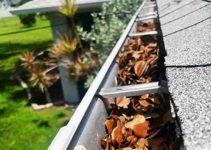 Conway gutter cleaning home page